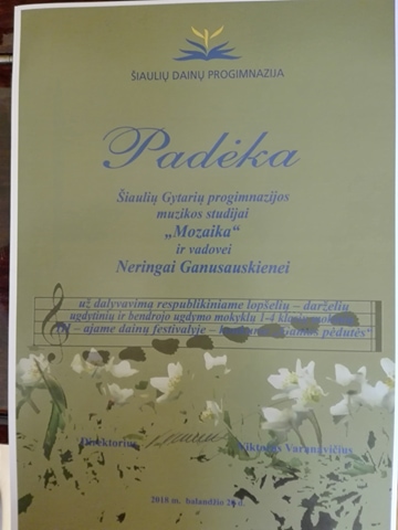 30831327_1525073360953923_545261048_n