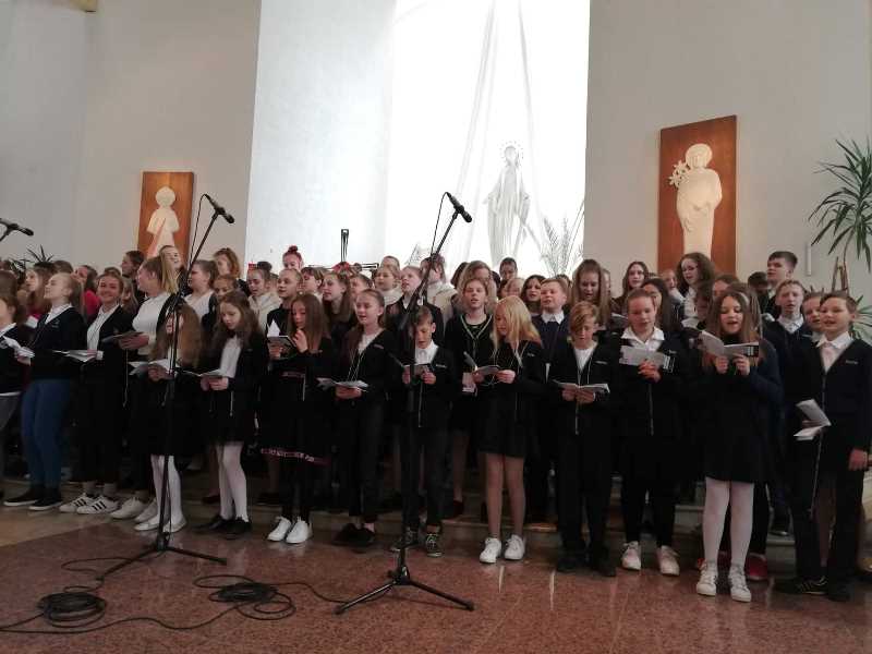 60164506_2394868500559200_7505580548056678400_n