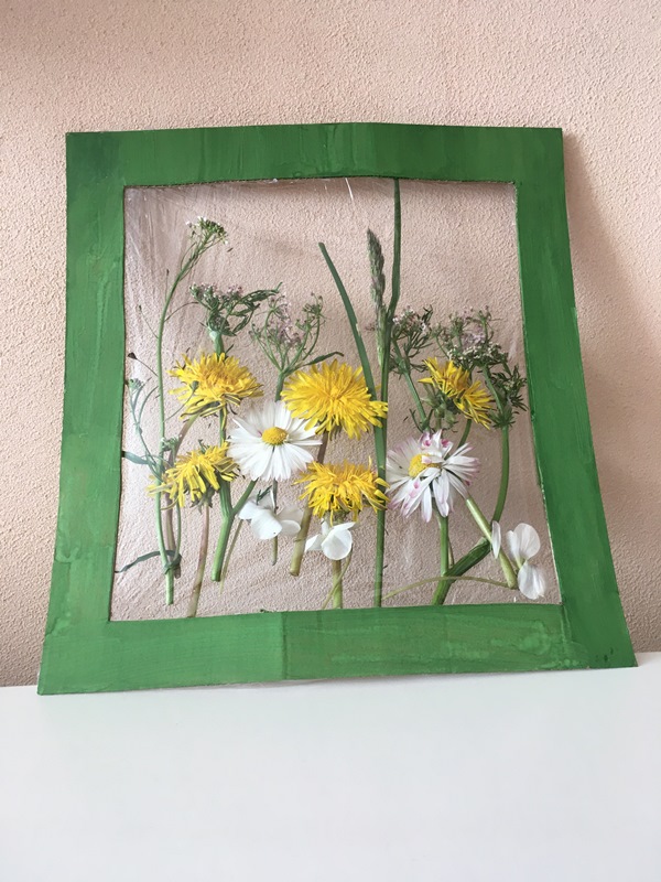 6FC1C968-BC64-4AFB-9900-19877FEFD3C8