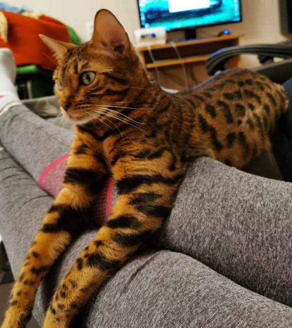 Karolina_Butvidaite-6a