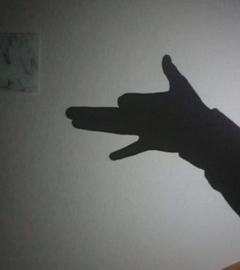 USER_SCOPED_TEMP_DATA_orca-image--1586268364